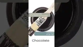 Fusion Mineral Paint - Chocolate