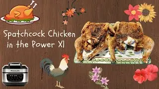 Spatchcock Chicken in the Power Xl Air Fryer Grill Combo