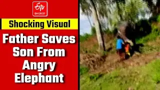 Watch: Daring Father Saves Son From Angry Elephant | Kozhikode-Malappuram Border | Kerala