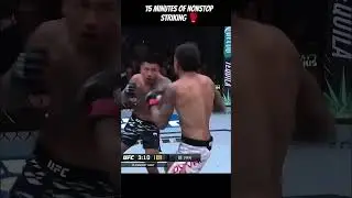 Joshua Van vs Royal Van | Insane Striking Exchange! 💥🔥#shorts