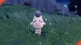 FullOdds Random Shiny Spoink (Mark)