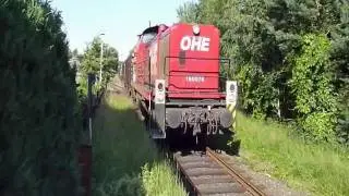 OHE 160074 holt Holz auf der Luhebahn