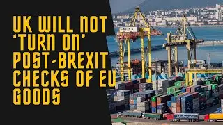 Brexit Blues: When Delays Dance at the Port Gates