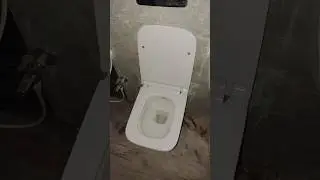 hanging commode fittings Jaguar #viral #plumbing #subscribe #tiles