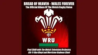 Made In Wales