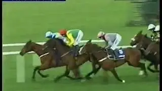 2009 Rabobank Champion Hurdle