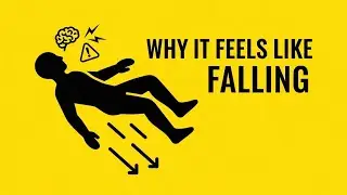 Why You Feel Like You&rsquo;re Falling Before Sleep | Hypnic Jerks Explained