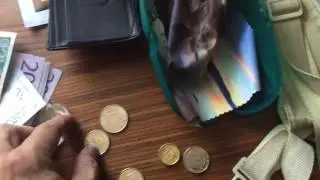 Swedish Krona