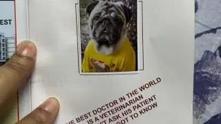Vaccines keep dogs healthy,happy &full of life#dog #pug #video #pets #vaccination 