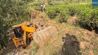 Upper Mountainside Full of Tea Leaves-New Village Road Work-JCB Backhoe