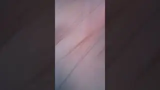 en trebiste a mi gato
