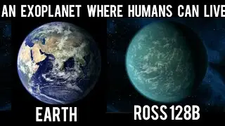 A planet where Humans can survive-  Everything about Ross 128b