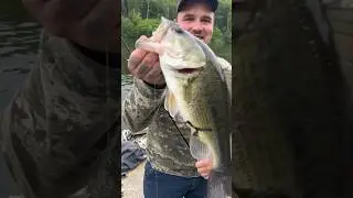 Big hogs only.!.......🤘🏼#fishingvideos #thegreatoutdoors #bass #bassfishing