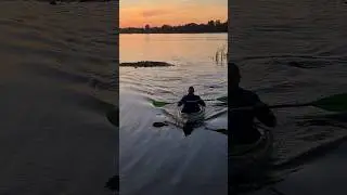 Kayaking at sunset #kayak #kayaking #sunset #shortvideo #shorts #sport #relax #summer