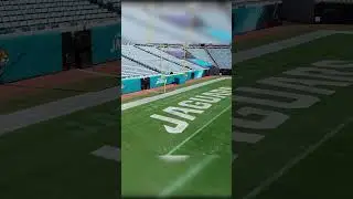 Bold. Custom. Game Day Ready. 🏟️🐆