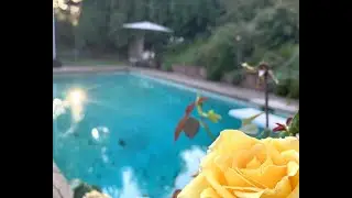 26261 VEVA WAY, CALABASAS, CA 91302