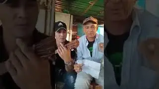 Décimas Zulianas/ Yorbis y Robert - Arturo Román Cepeda