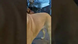 Live highlight