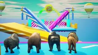 Animals Fall Guys Running Challenge Compilation Lion Bear Rhino Tiger Gorilla