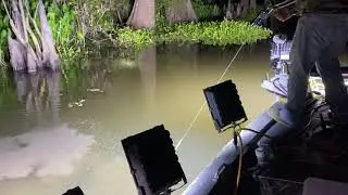 Bow fishing at night