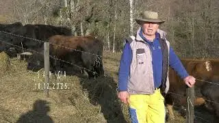 - ZAHVALJUJUĆI FARMI ERINGER, NE PIJEM NIKAKVE TABLETE U ŠEZDESET I PETOJ GODINI ŽIVOTA