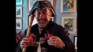 Steve the Pirate