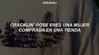 Neil Diamond - Cracklin'  Rose (Traducida al Español)