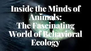 Inside the Minds of Animals | The Fascinating World of Behavioral Ecology