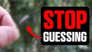 The ONE Hook I Use for 90% of Shallow Water Fishing