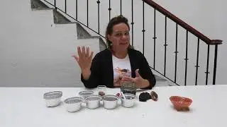 Laboratorio de extracción de pigmentos naturales, sesión 7