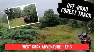 Off-Road Forest Track | #motorcycle #adventuremotorcycle #offroad #offroadmotorcycle #forest