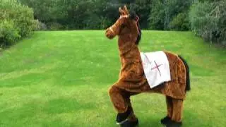 The Pantomime Horse - SGDs Attack Mode -