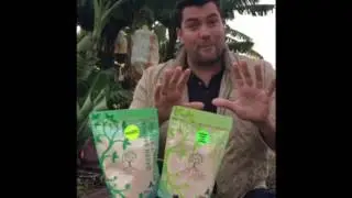 Banana Flour VS Green Banana Resistant Starch