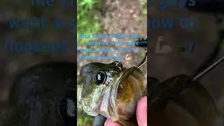 Good hookset! #phonk #music #song #bassfishing #fypシ゚viral #fishing #fish #sportfishing