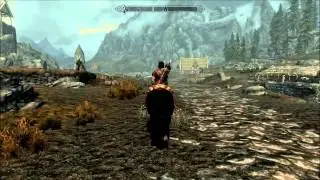 Skyrim on a Geforce 7900gs Graphics Card (TEST)