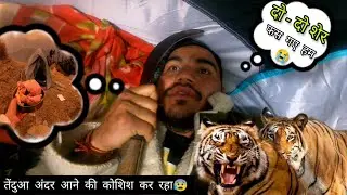 Night Camping In Dangerous Forest | Leopard visit my camp Area | Solo Night Camping Gone Wrong #camp