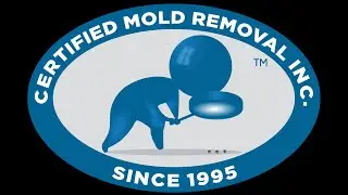Best Mold Testing, Inspection & Removal Company in Essex County NJ.  Certified Mold Removal Inc.