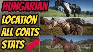 Red Dead Redemption 2 Hungarian Halfbred  LOCATION & ALL COATS & STATS  GOOD HORSE GUIDE