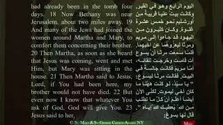 Today Holy Gospel English 04/11/2020