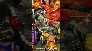 Wednesday Special Video 🙏🙏🙏🙏