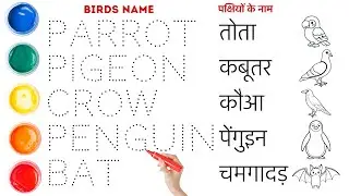 Birds name in English and Hindi with pictures || Shobi study class 