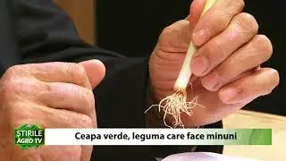Ceapa verde, leguma care face minuni 04 02 2021