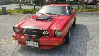 RETRO RIDES SOUTH (SUNRISE RUN)