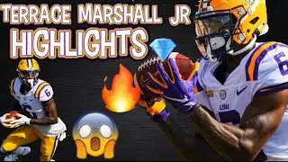 TERRACE MARSHALL JR. HIGHLIGHTS! ANOTHER SLEEPER GEM