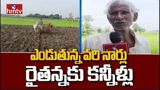 సిక్కోలు జిల్లాలో జాడలేని వాన.. ఎండుతున్న వరి నార్లు, రైతన్నకు కన్నీళ్లు | Farming Sikkolu District