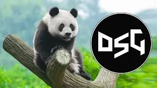 Panda Eyes - Lonely Island