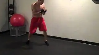 RipFire - Kick Boxing MMA Workout  - Video Review