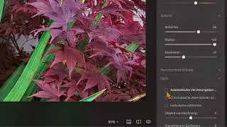komplette Bildbearbeitung in Luminar Neo Schritt für Schritt