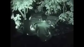 ghost sightings in 2014