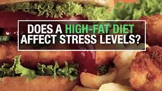 How a High-Fat Diet Affects Stress | Herbalife Nutrition